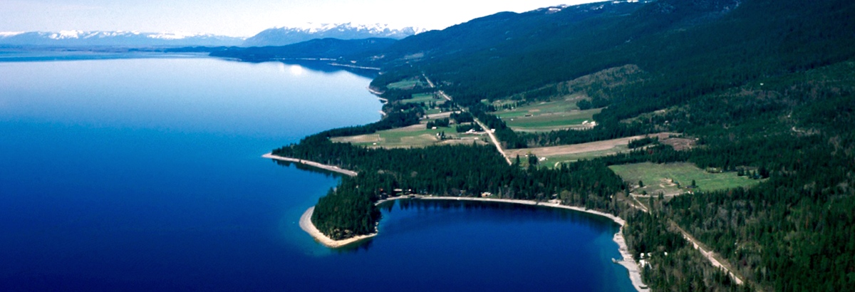 pine tree covered shoreline of flathead lake seen from above