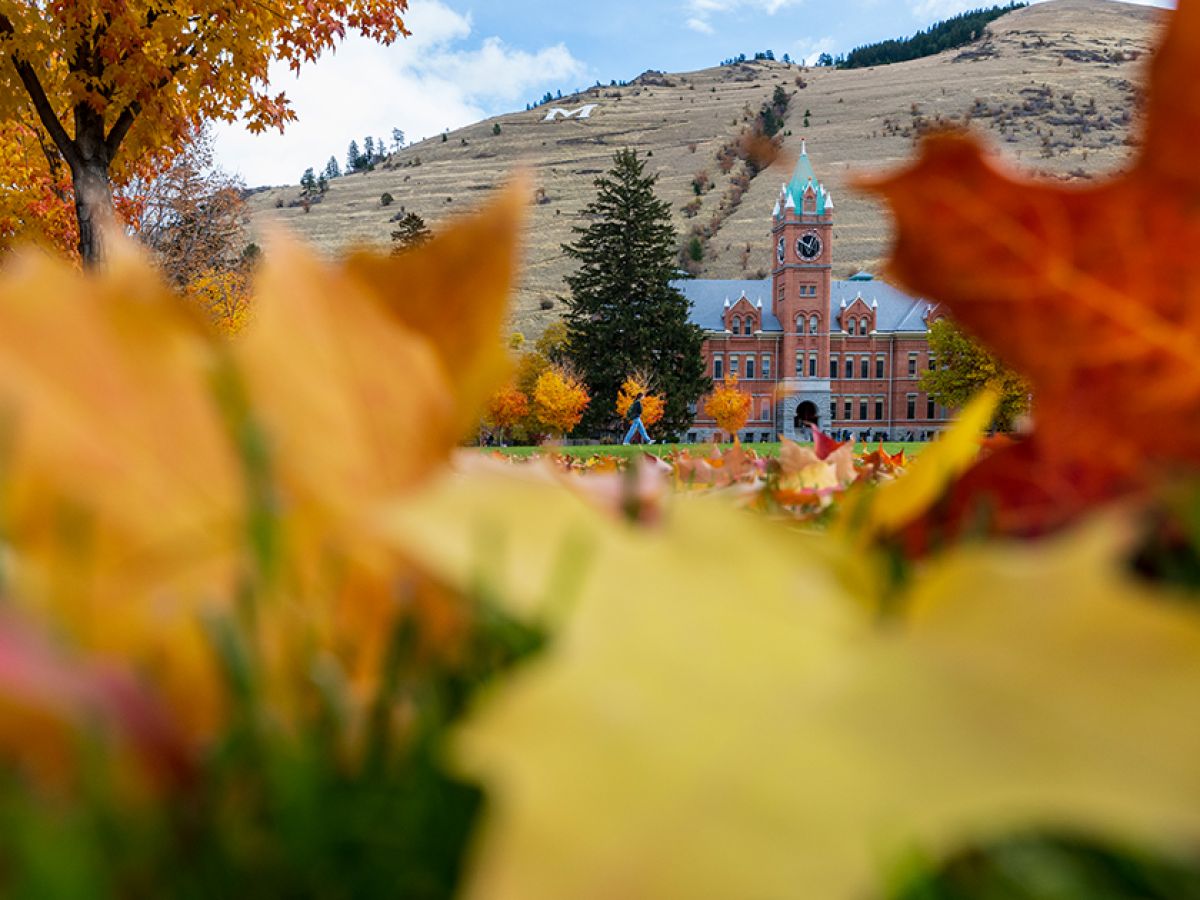 University of Montana Main Hall stands out behind fallen autumn leaves in the oval