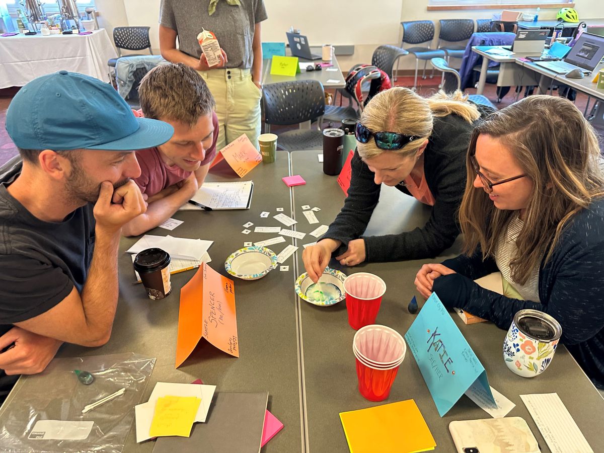 Mobile Summer Institute (MOSI)