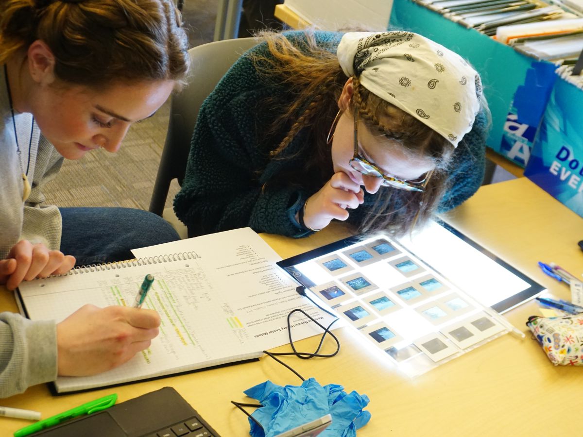 US Environmental History Students Public History Consultants