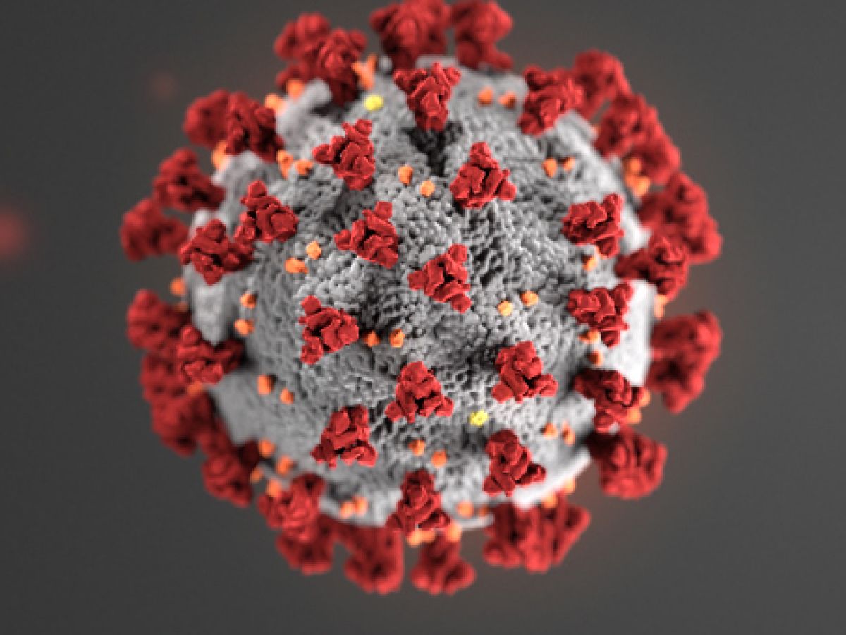 Photo of covid virus