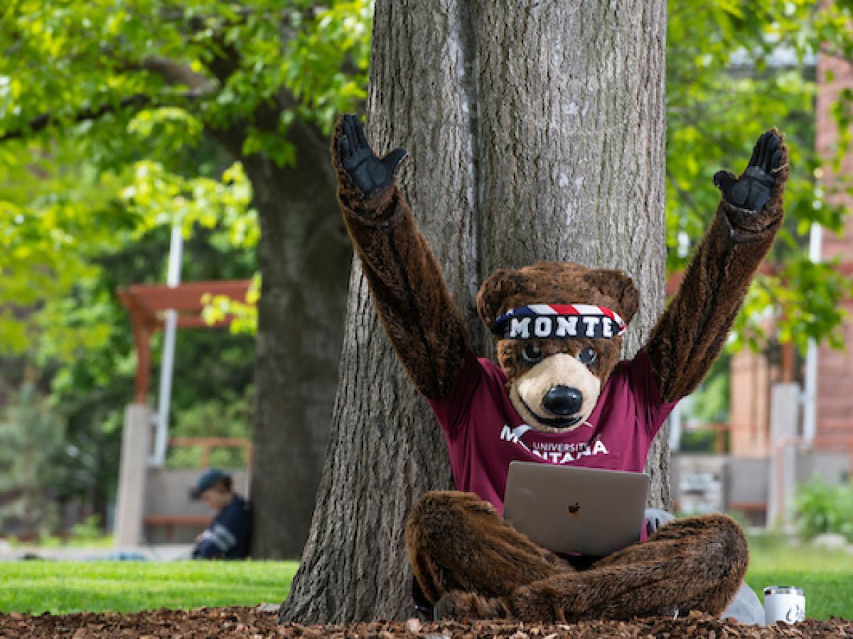Monte the University of Montana Mascot is looking at his laptop and throws his hands up excitedly.