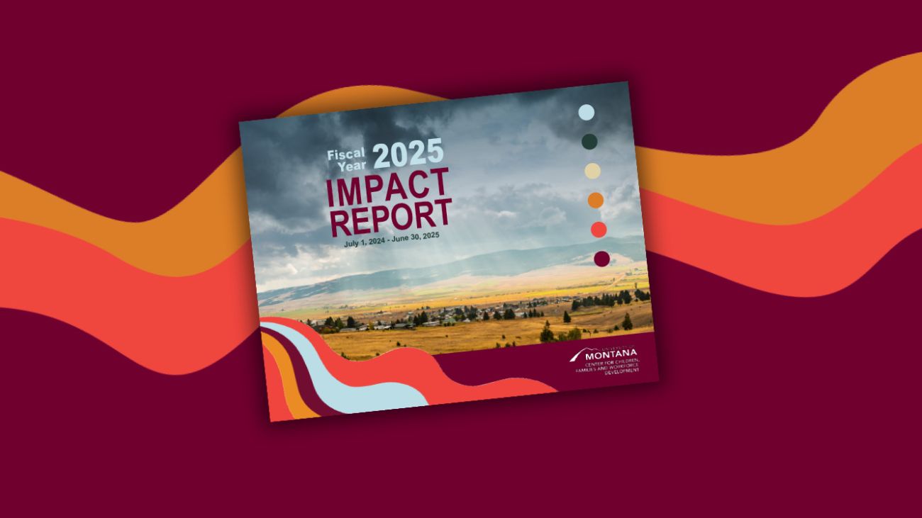 photo of impact report cover