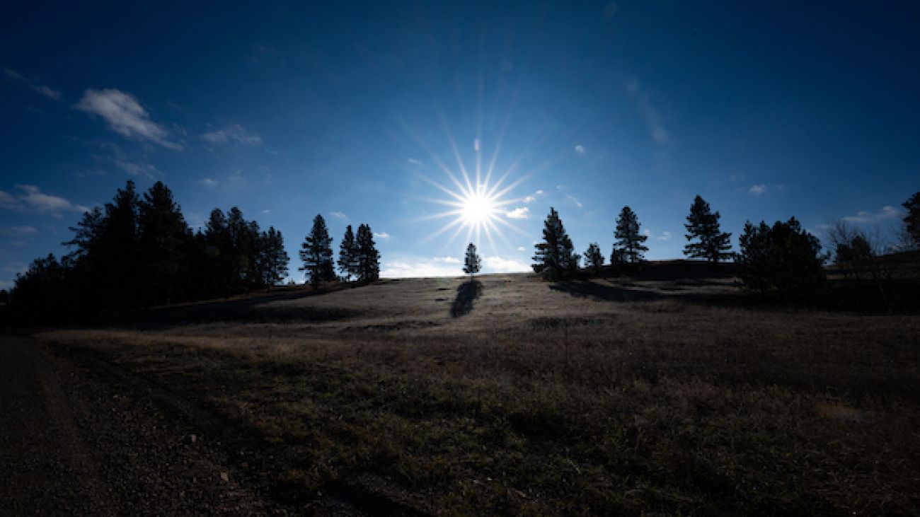 The sun rises above a hill on UM's Bandy Ranch