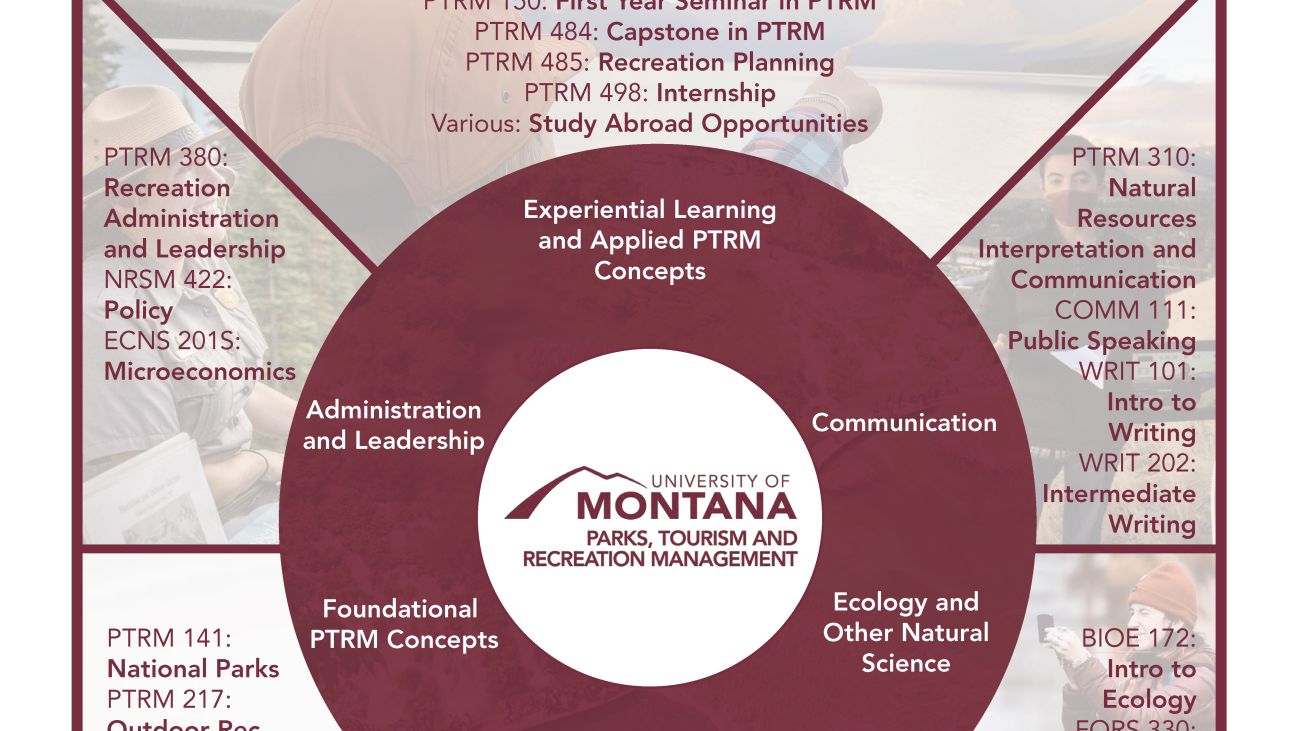 Curriculum graphic