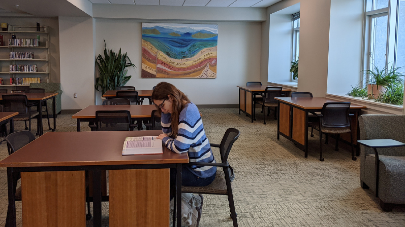 A student reads in the Payne Family Library