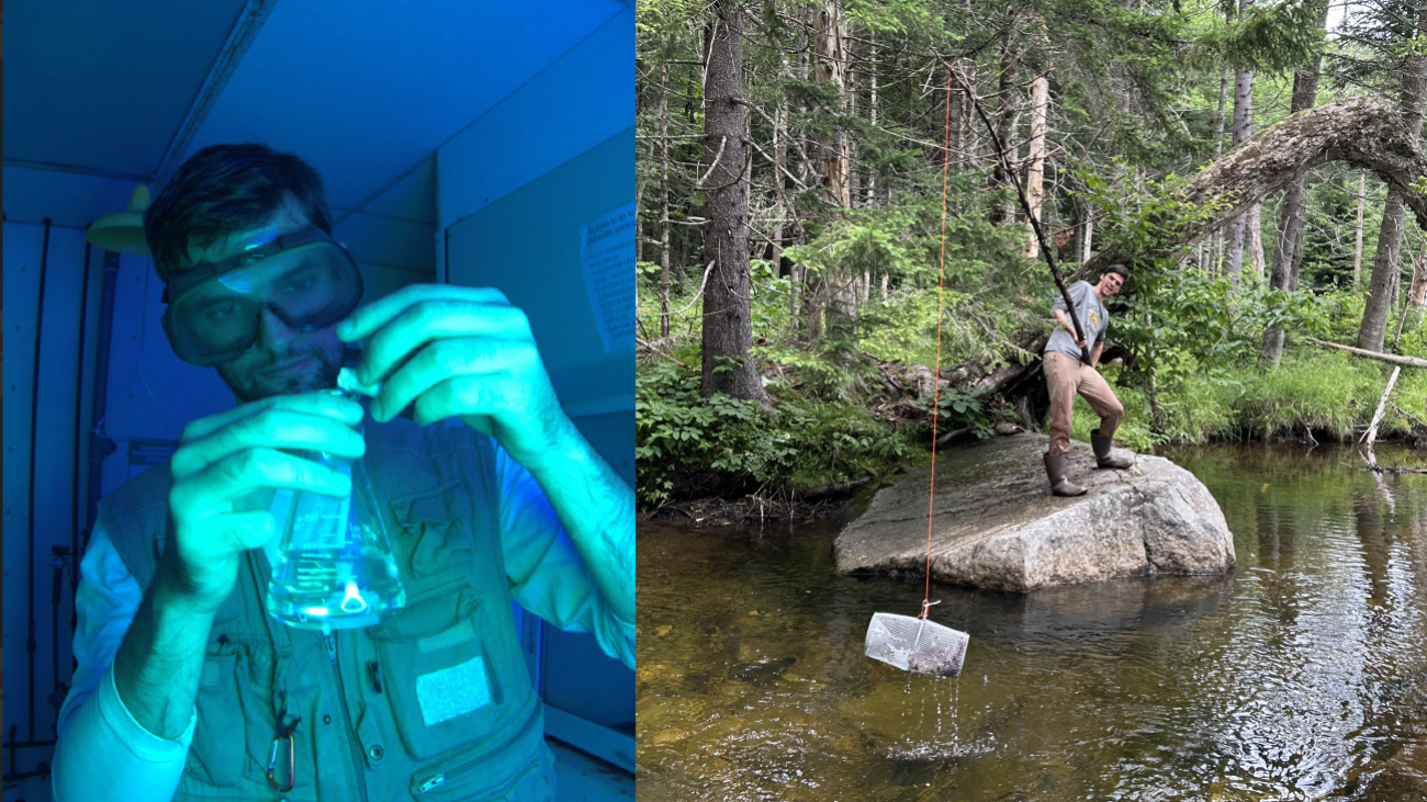 Image left, Eric places a reagent in a flask in a room lit by blue light. Right, Eric fishes a sampling cage out of a forested river.