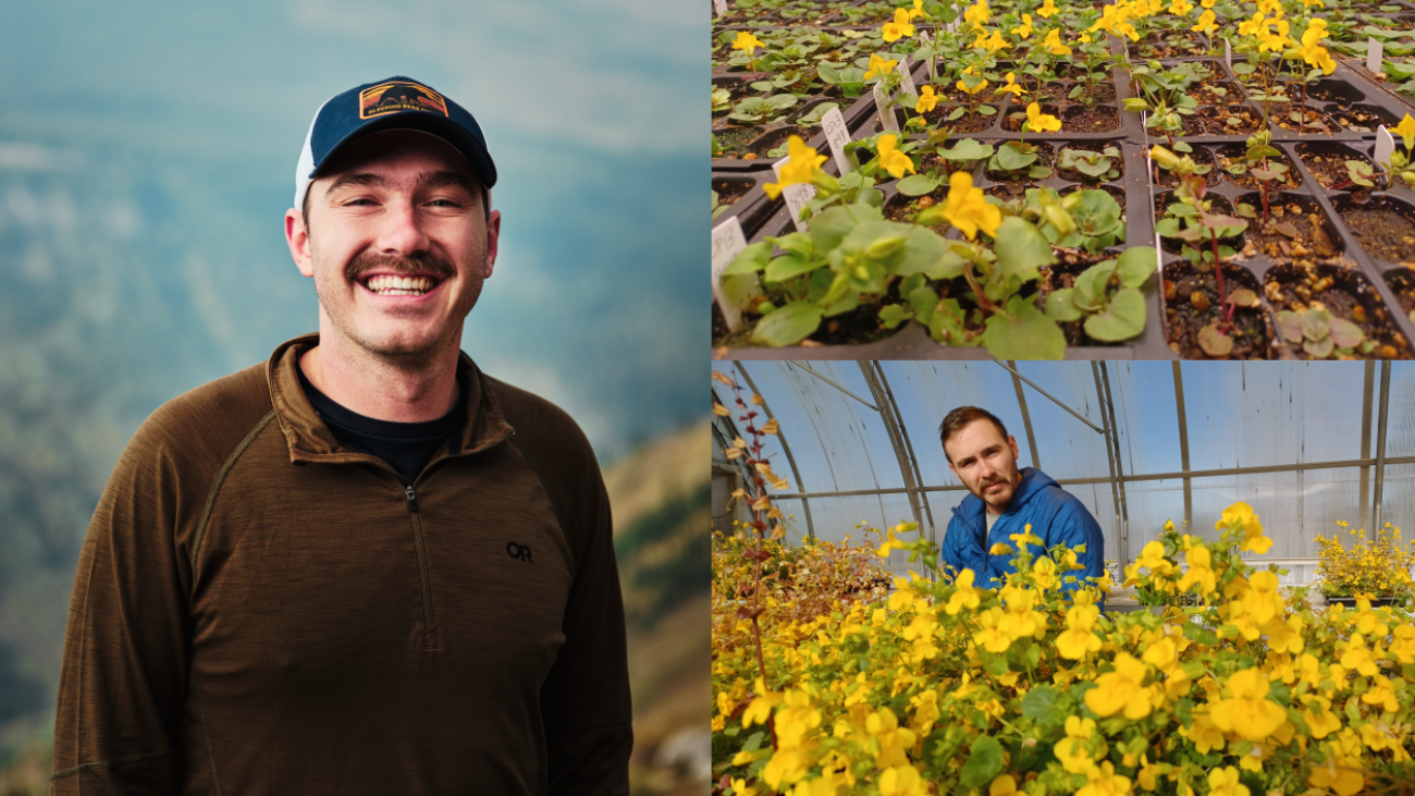 Foreground; hundreds of small yellow flowers in greenhouse flats. Background; Evan sits behind them, looking seriously at the camera.