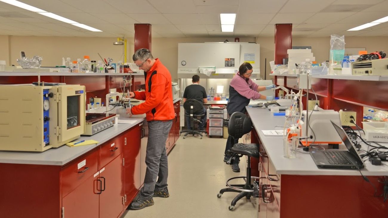 Welcome to the Serban Lab Research Group