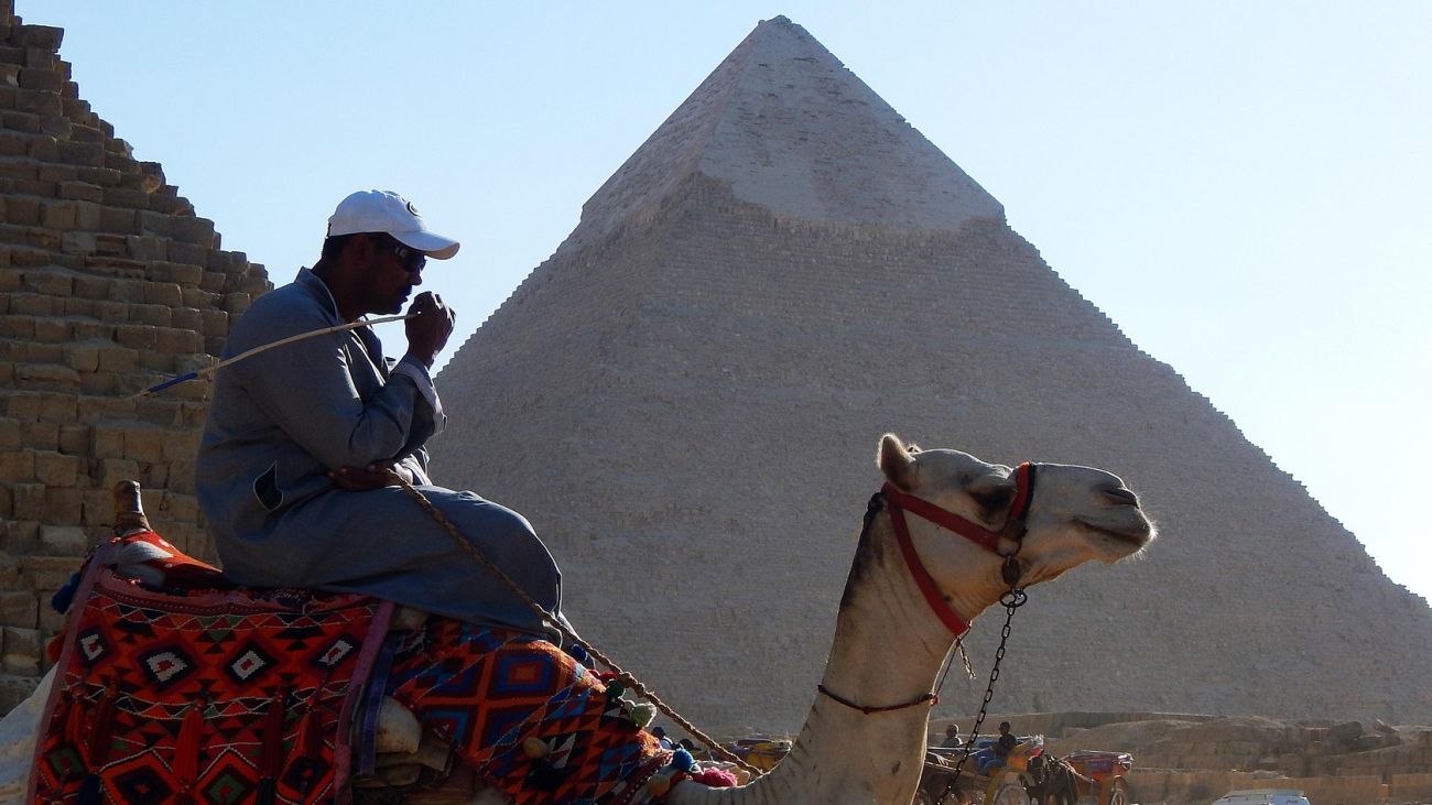 Arabic - Egyptian on Camel