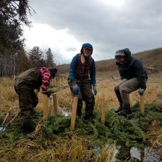 Students work on a restoration project