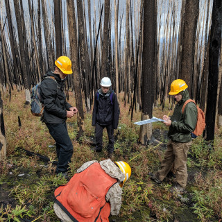 Students in the field examine a burn