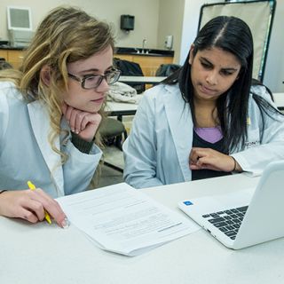 Students Working Together