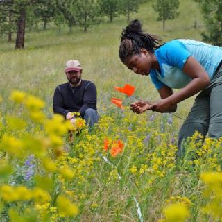 Student working in the field