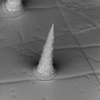 Microneedle Array