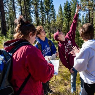 Four students work on a group project in the forest. One takes notes, one points up, two other students look up.