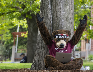 UM's mascot Monte excitedly using a laptop with his arms in the air