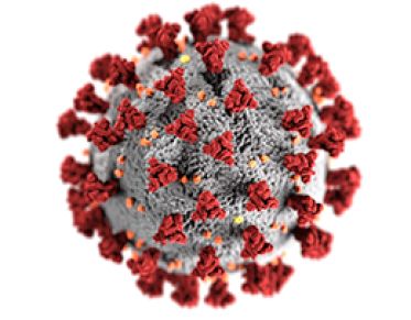 Image of Covid-19 cell