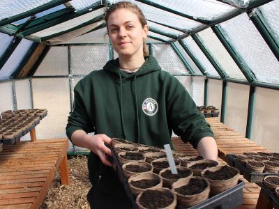 An NCCC member works with plants in a greenhouse