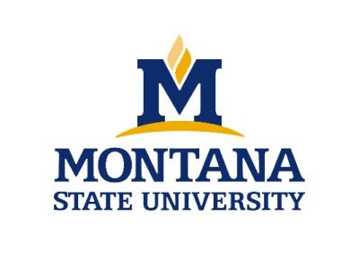 Logo for Montana State University
