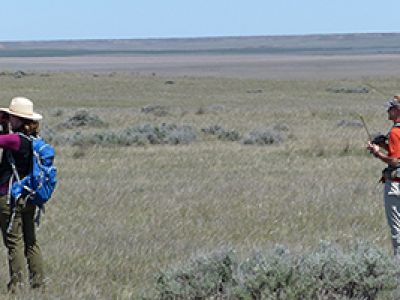 Technicians conduct a field survey