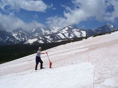 Dust removal, Niwot Ridge, CO