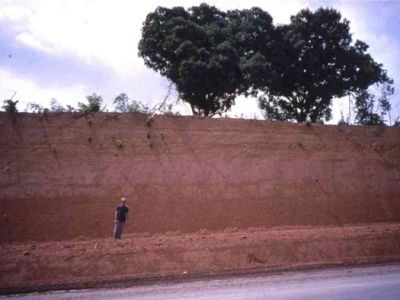 Road cut, Brazilian Amazon