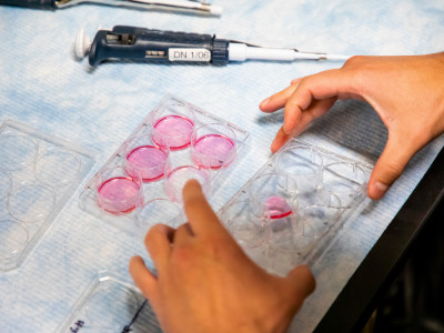 Student holding samples