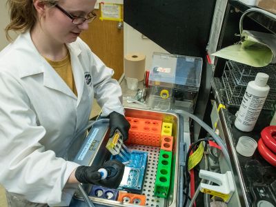 Student working in lab with pipette
