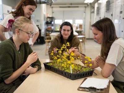 Students gathered around a yellow flower in the lab. 