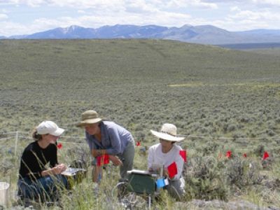 Three researchers conducting fieldwork