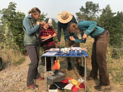 Three biologists take blood samples from small songbirds at a table in front of a river.