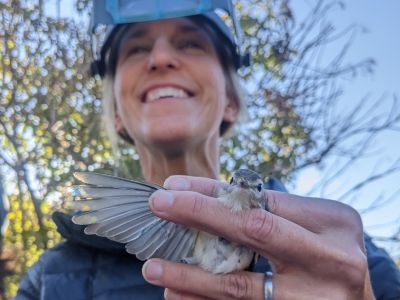 A biologist examines the wing of a songbird while smiling and wearing a pair of optical enhancers.