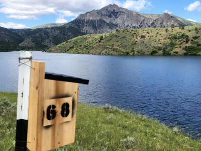 A Tree Swallow nest box is mounted on the edge of a river with the Sleeping Giant mountain in the background. 