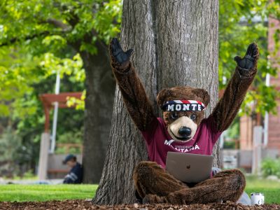 Apply as an online student