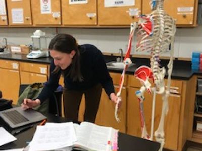 anatomy