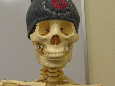 mr. bones
