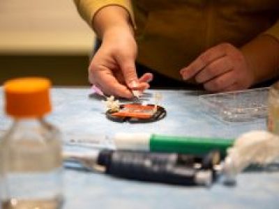 A close-up of a person working at a laboratory bench, preparing a slide.
