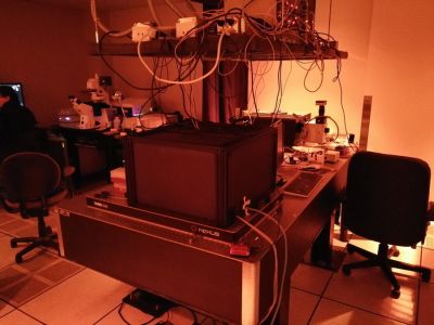Qpod & FLASC 1000 equipment for dynamic anistorpy measurement