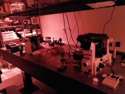 TIRF microscope based on Nikon TE & Home build confocal microscope based on Olympus IX83