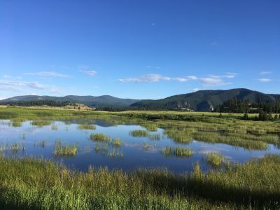 A green meadow with a marshy center. There are mountains in the background under a bright blue sky.