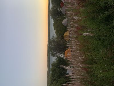 beautiful landscape