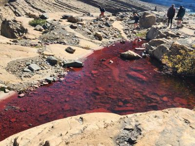 Red stream in Glacier