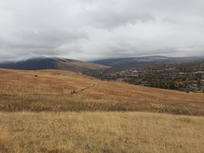 Landscape near Homestead