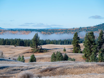 bandy ranch