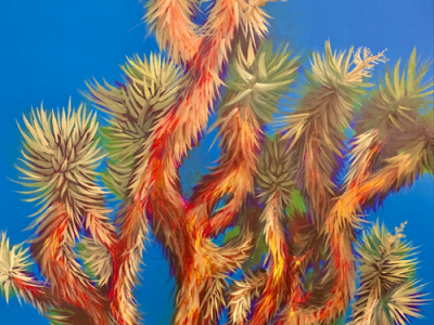 colorful plant on blue background the cover of Camas Magazine summer 2022 edition