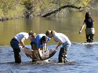 students in a river conducting research