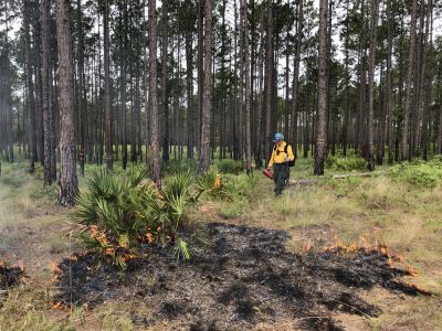 Prescribed Fire