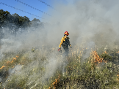 Prescribed Fire
