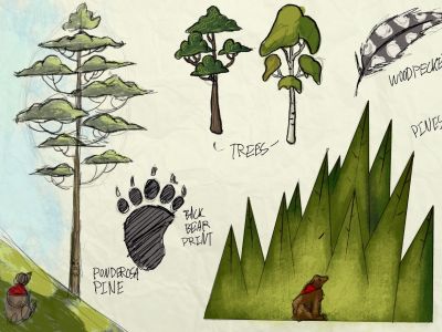 sketches of trees and plants